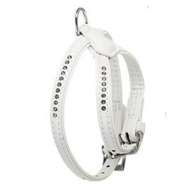 Harnais pour chien Monté Carlo Strass T1