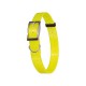 Collier fluo plein-air et chasse