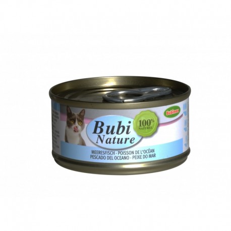 Boite Bubi Nature Poisson de l'Océan