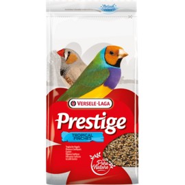 Prestige Oiseaux Exotiques