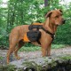 Baxter Backpack