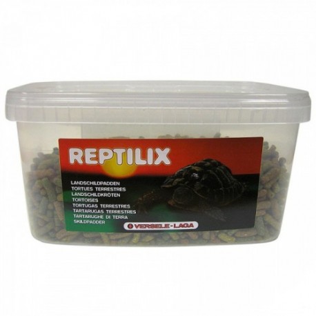 Reptilix Tortue