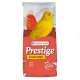 Prestige Canaris