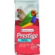 Prestige Oiseaux Exotiques