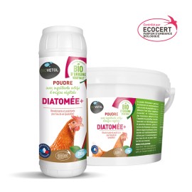 Diatomée +