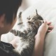 Élever un chaton : Comment et par où commencer ?