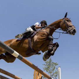 Votre cheval est un athlète : le repos est essentiel pour le succès