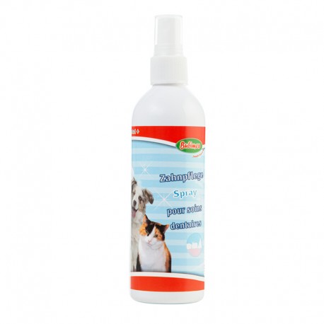 Spray pour Soins Dentaire 