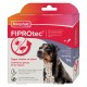 FIPROtec, Pipettes Antiparasitaires Pour Chien