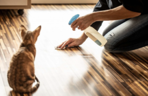 À l'aide Mon chat urine à côté de son bac à litière
