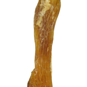 Tendons de Boeuf