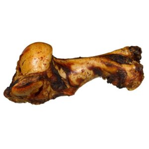 Os de Bœuf Géant - XXL