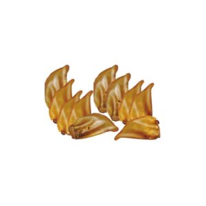 Oreille de Bœuf ou de Vache