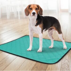 Tapis d'entraînement Patsy Vert