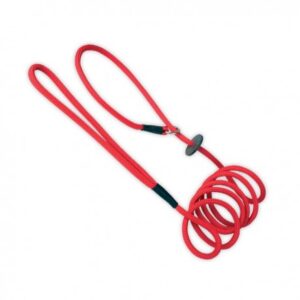 Laisse-Lasso