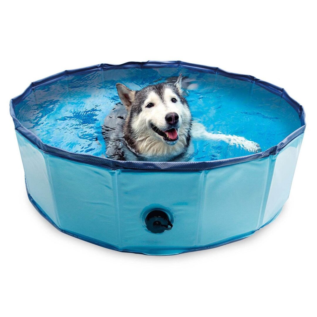 Piscine Pour Chien – Image 3