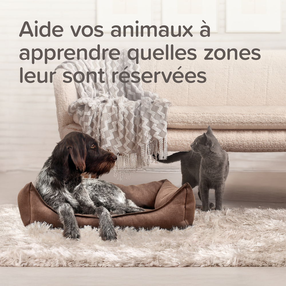 KEEP OFF Spray répulsif INDOOR pour chiens et chats - 200 ml – Image 9