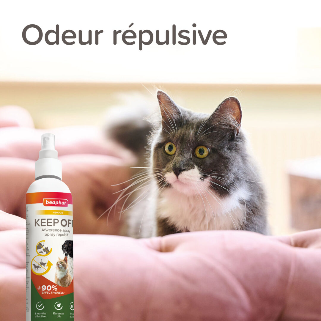 KEEP OFF Spray répulsif INDOOR pour chiens et chats - 200 ml – Image 7