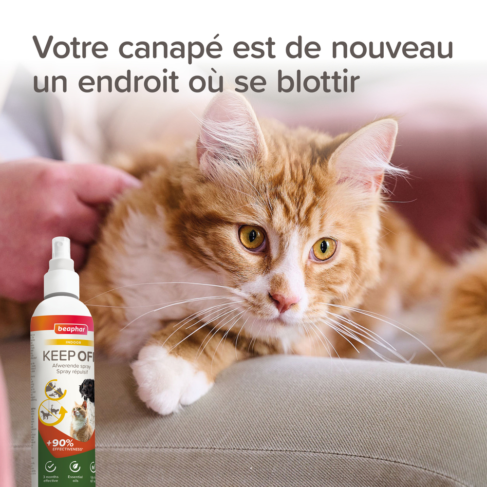KEEP OFF Spray répulsif INDOOR pour chiens et chats - 200 ml – Image 3
