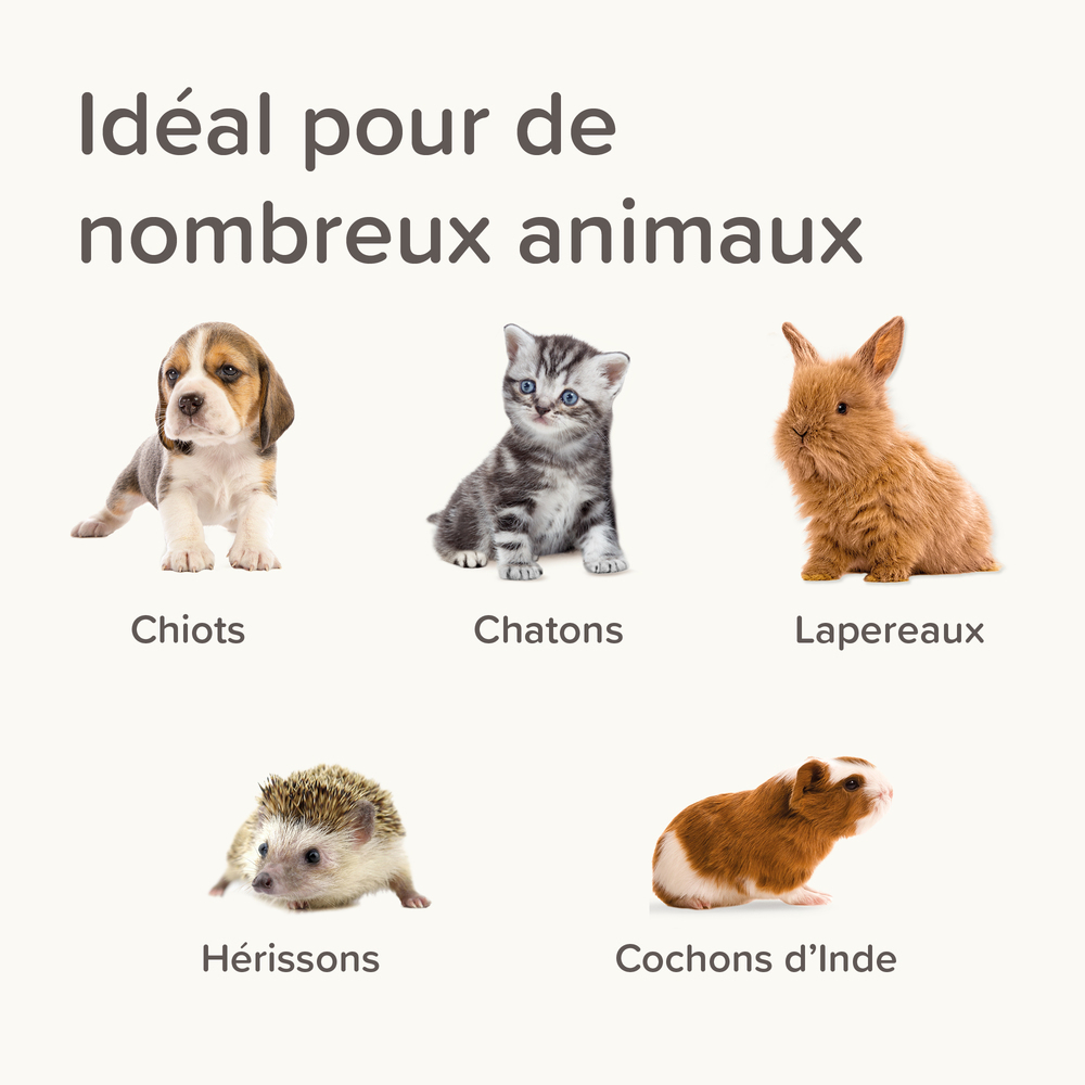 Kit Biberon – Image 4